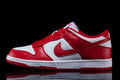Dunk Low SP