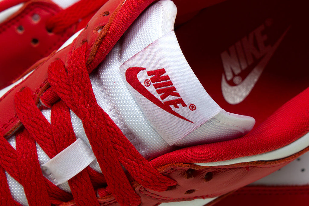 Dunk Low SP